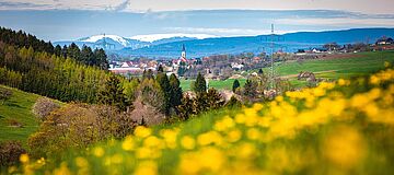 Schwarzwald-Baar-Kreis